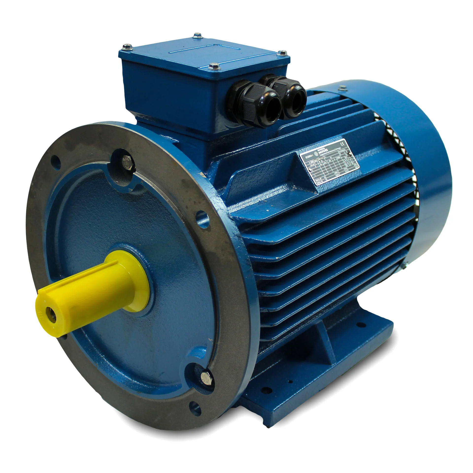 3-Phase Motor 22kW
